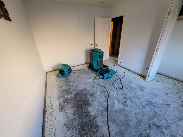 Best Water damage contractors near me  in Palmetto, GA