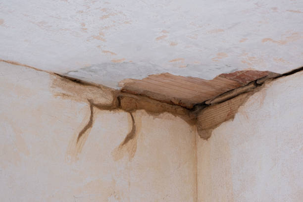 Best Water damage repair service  in Palmetto, GA
