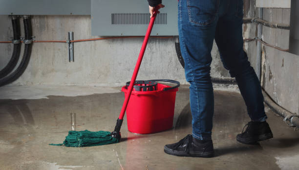 Best Water damage restoration specialists  in Palmetto, GA