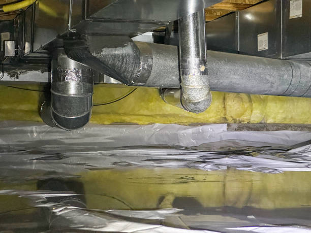 Best Flood damage cleanup  in Palmetto, GA