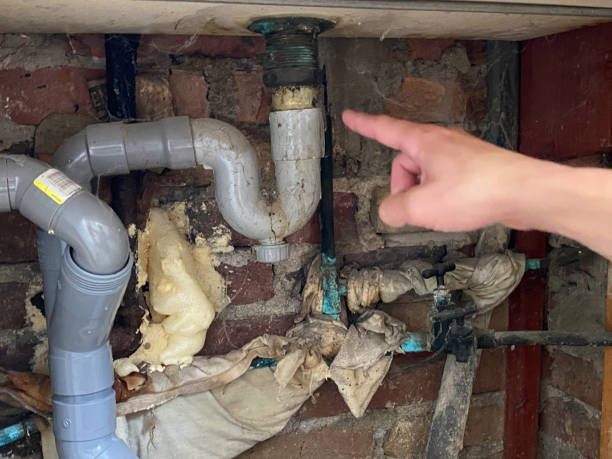 Best Flooded house restoration  in Palmetto, GA