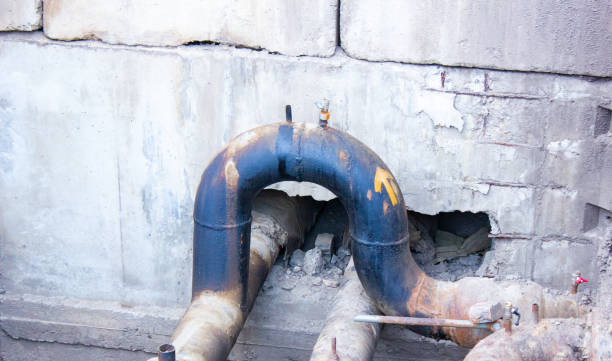 Best Water damage restoration mold remediation  in Palmetto, GA